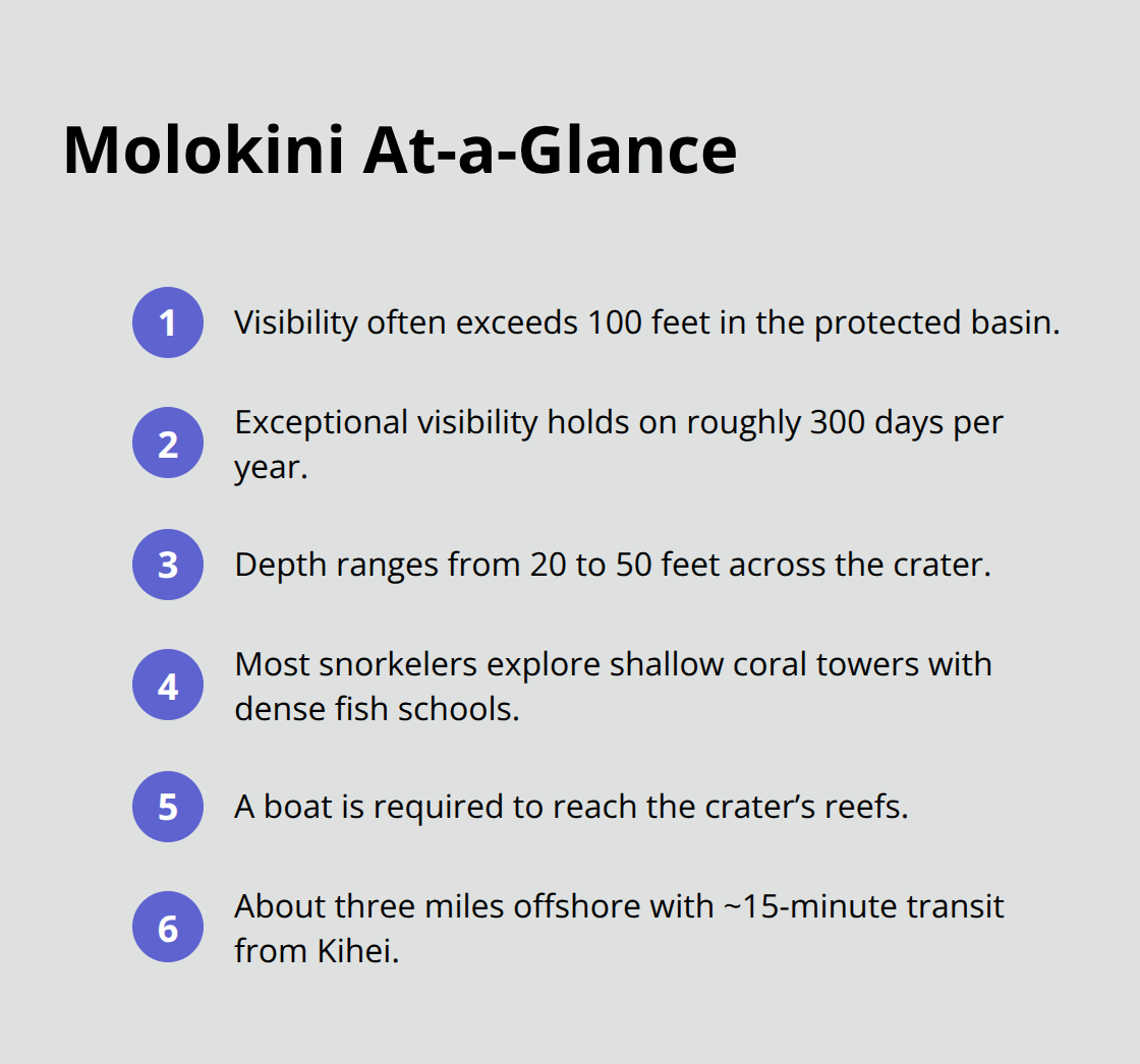 Maui Snorkel Charters | Top Maui Snorkeling Spots Key facts about Molokini Crater snorkeling conditions and access near Maui, Hawaii. - maui top snorkeling spots