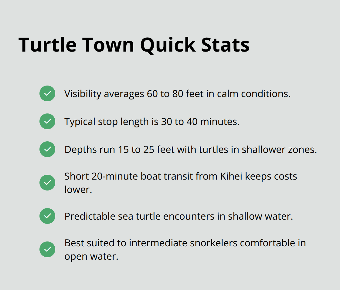 Maui Snorkel Charters | Top Maui Snorkeling Spots Summary of Turtle Town snorkeling conditions, timing, and suitability in South Maui. - maui top snorkeling spots