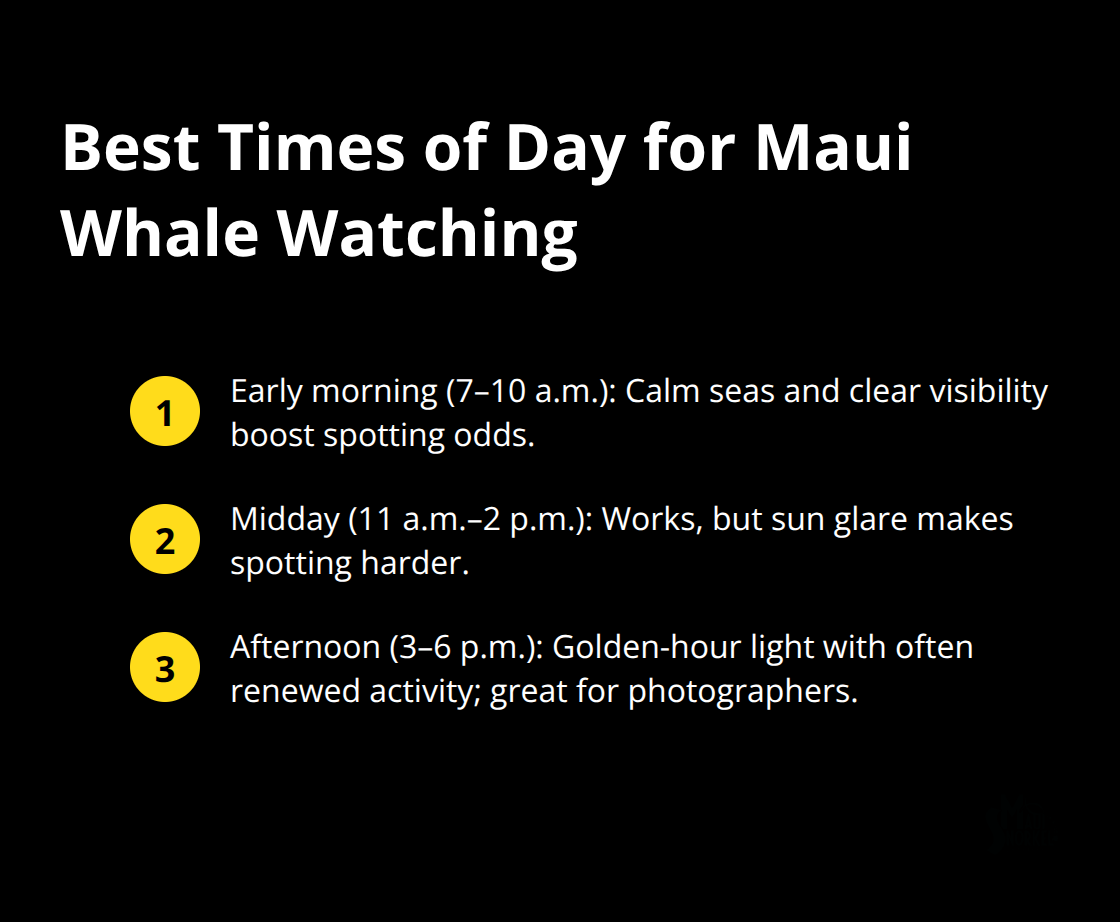 Maui Snorkel Charters | Maui Whale Watching Adventures Quick guide comparing morning, midday, and afternoon whale watching on Maui.