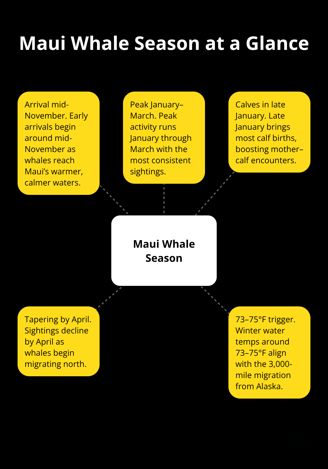 Maui Snorkel Charters | Maui Whale Watching Excursions Visual summary of Maui humpback whale season timing and triggers - maui whale watching excursions