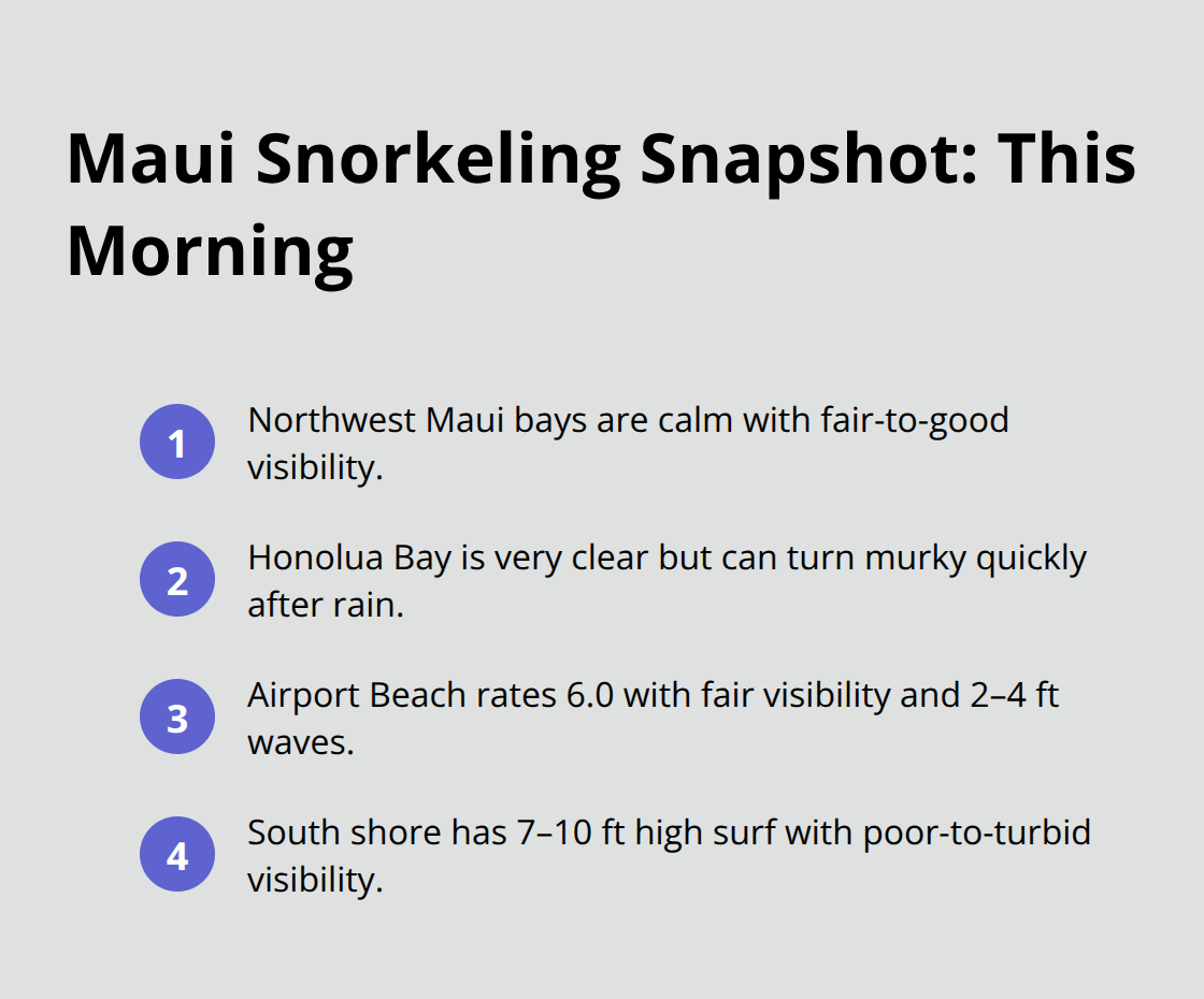 Maui Snorkel Charters | Current Maui Snorkeling Conditions Quick overview of today’s Maui snorkeling conditions across regions