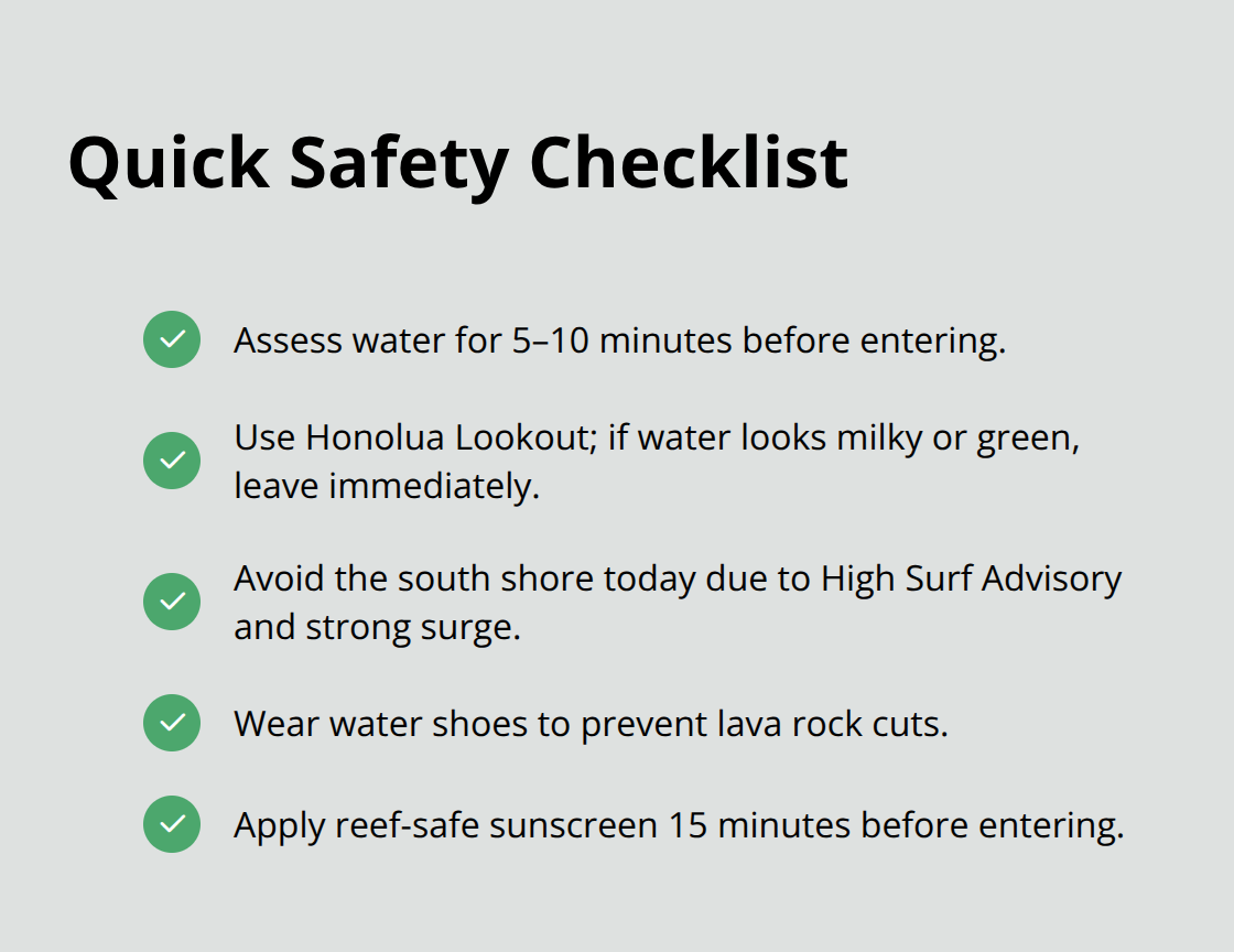 Maui Snorkel Charters | Current Maui Snorkeling Conditions Essential safety checks and prep before snorkeling today in Maui - snorkeling conditions maui