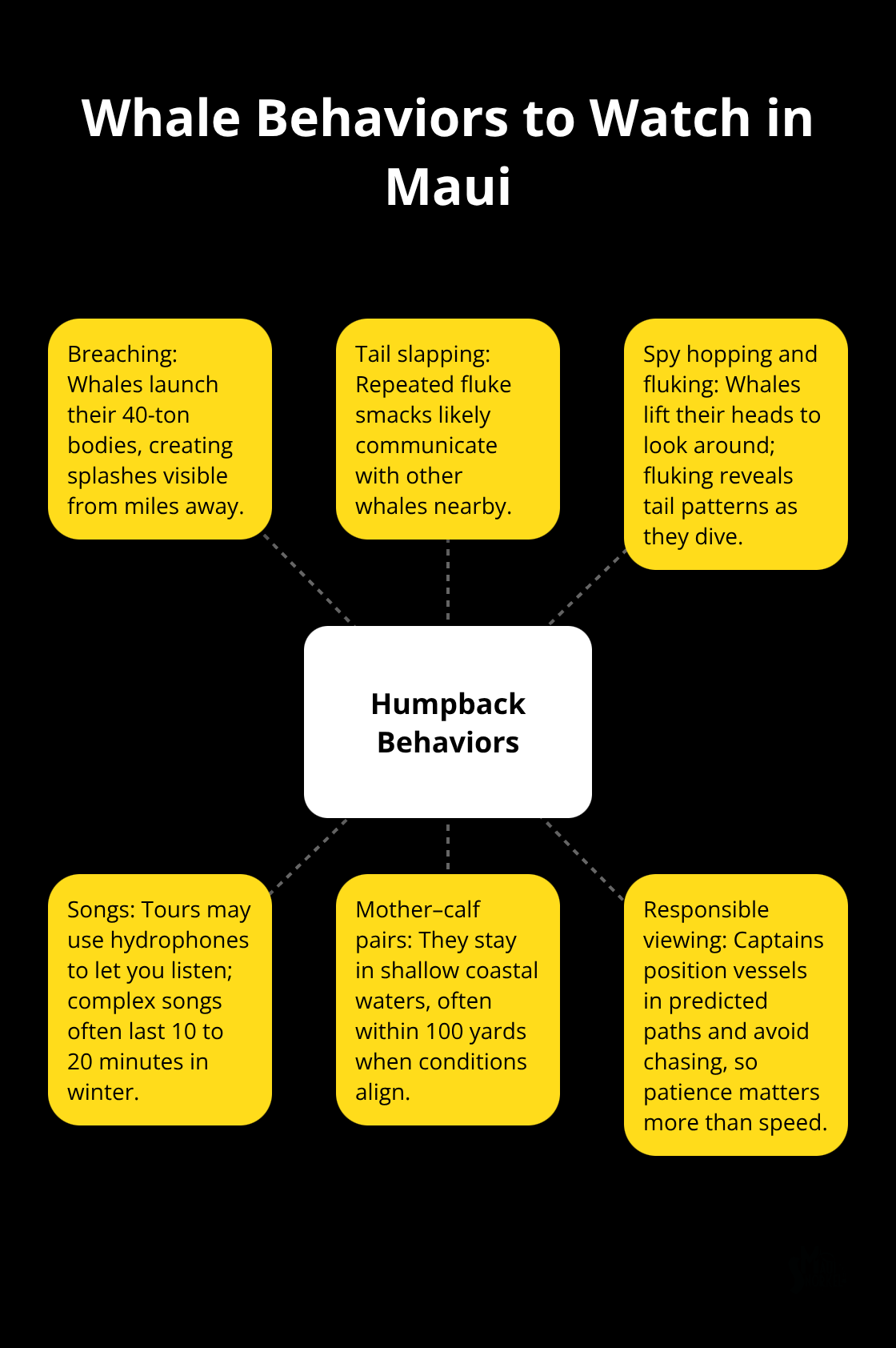 Hub-and-spoke diagram showing key humpback whale behaviors and how to spot them on tours. - whale watching excursions in maui
