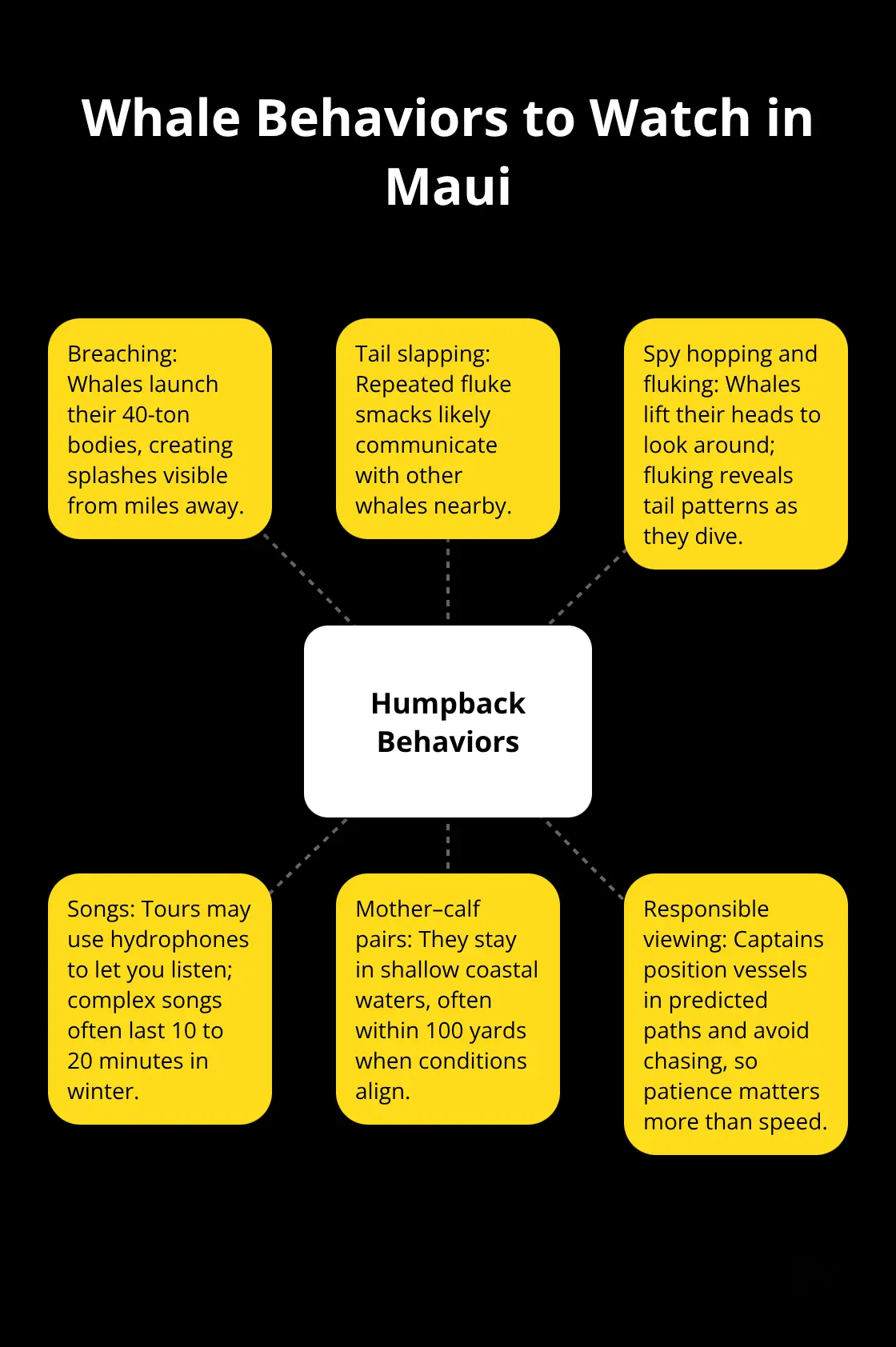 Maui Snorkel Charters | Maui Whale Watching Excursions Hub-and-spoke diagram showing key humpback whale behaviors and how to spot them on tours. - whale watching excursions in maui