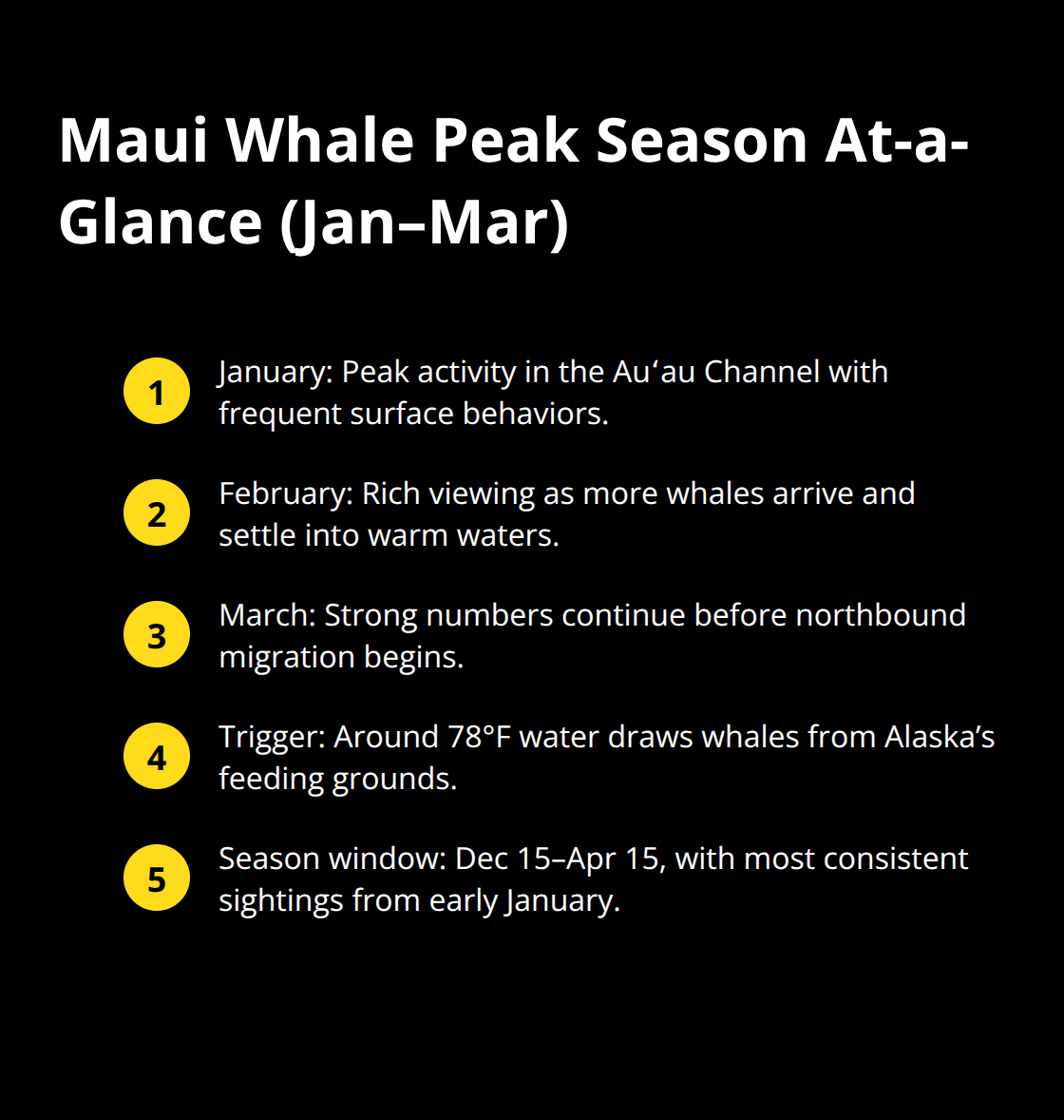 Summary of January to March whale activity and timing in Maui - whale watching excursions maui