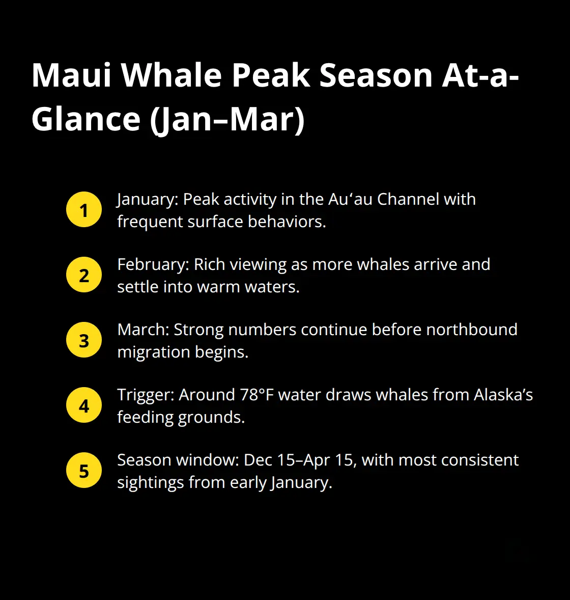 Maui Snorkel Charters | Whale Watching Excursions Maui Summary of January to March whale activity and timing in Maui - whale watching excursions maui
