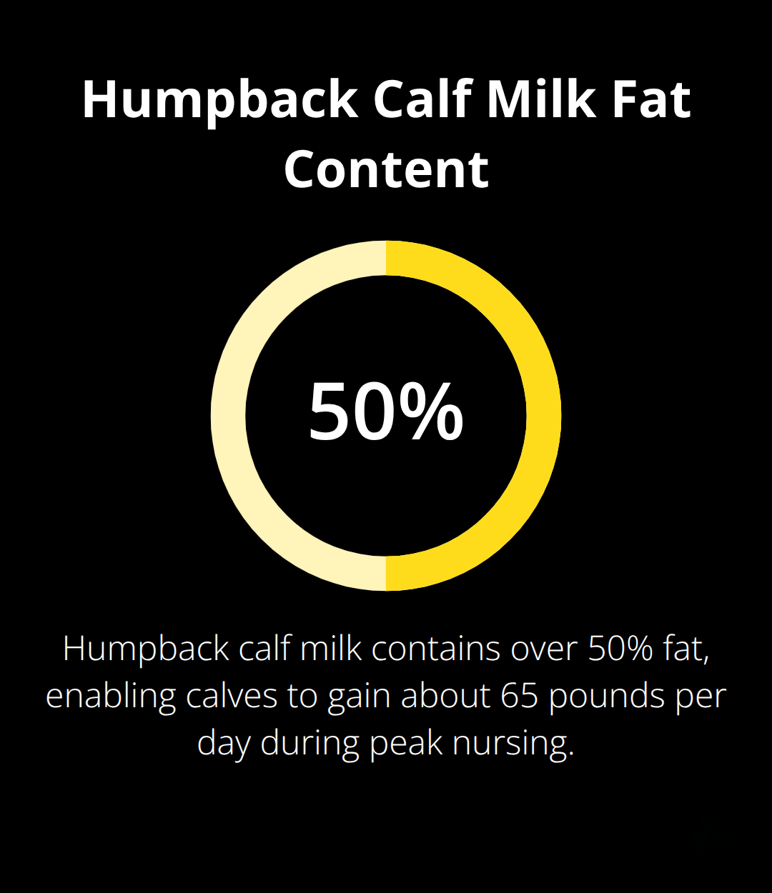 Maui Snorkel Charters | Whale Watching Hawaii Maui Percentage of fat in humpback calf milk that drives rapid growth