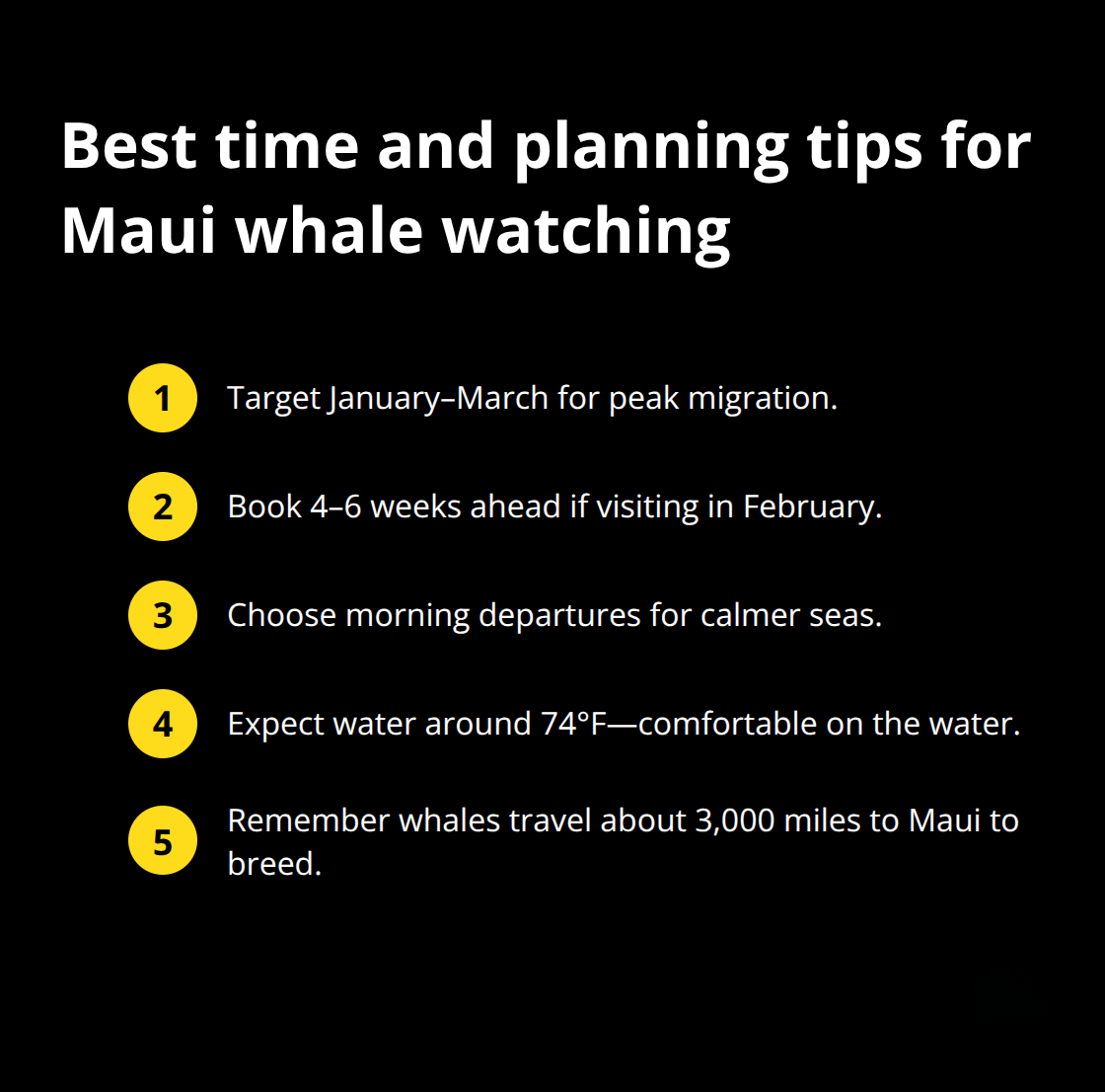 Maui Snorkel Charters | Whale Watching Maui Hawaii Key timing and planning tips for seeing humpbacks around Maui - whale watching in hawaii maui