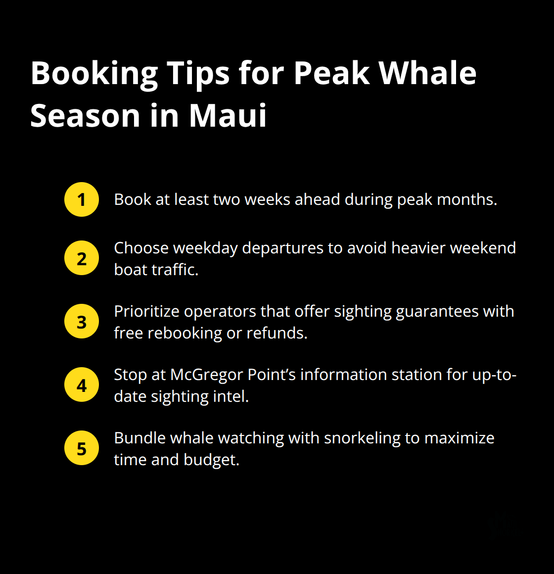 Maui Snorkel Charters | Whale Watching in Maui Compact list of practical booking tips for Maui whale watching during peak season - whale watching in maui