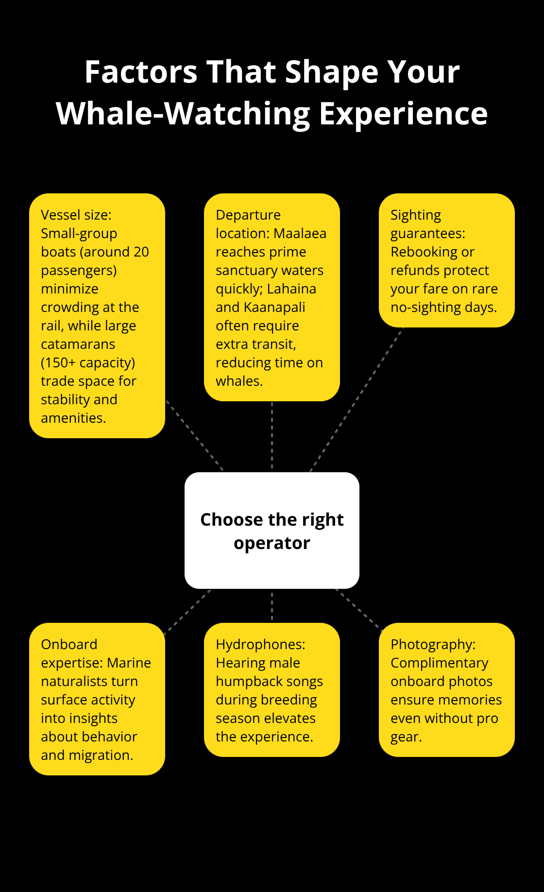 Maui Snorkel Charters | Whale Watching in Maui Hub-and-spoke diagram summarizing key factors to consider when choosing a Maui whale-watching operator - whale watching in maui