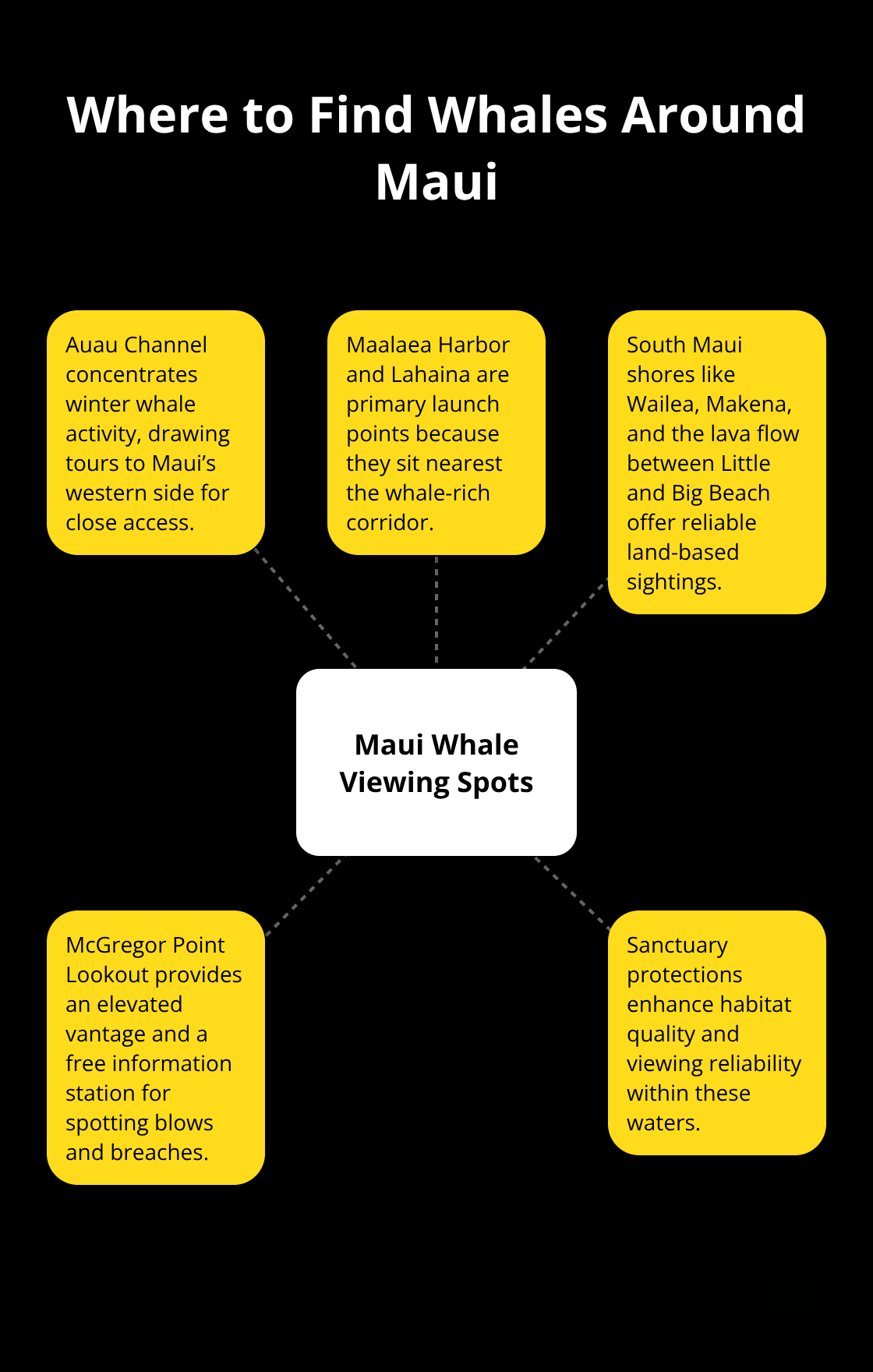 Hub-and-spoke showing top Maui whale watching locations and why they work. - whale watching maui hawaii