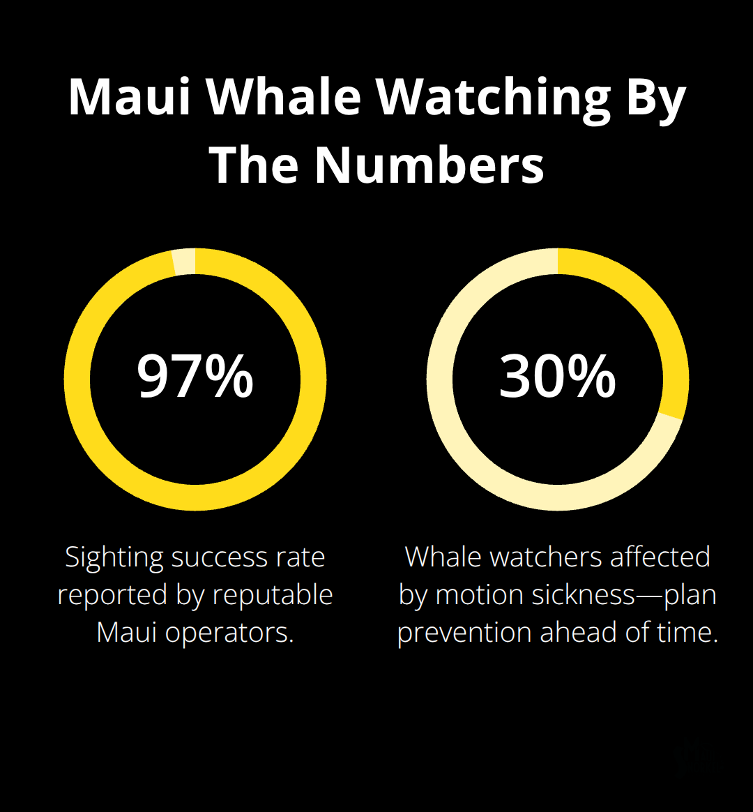 Key percentages for Maui whale watching, including sighting success and motion sickness prevalence. - whale watching maui hawaii