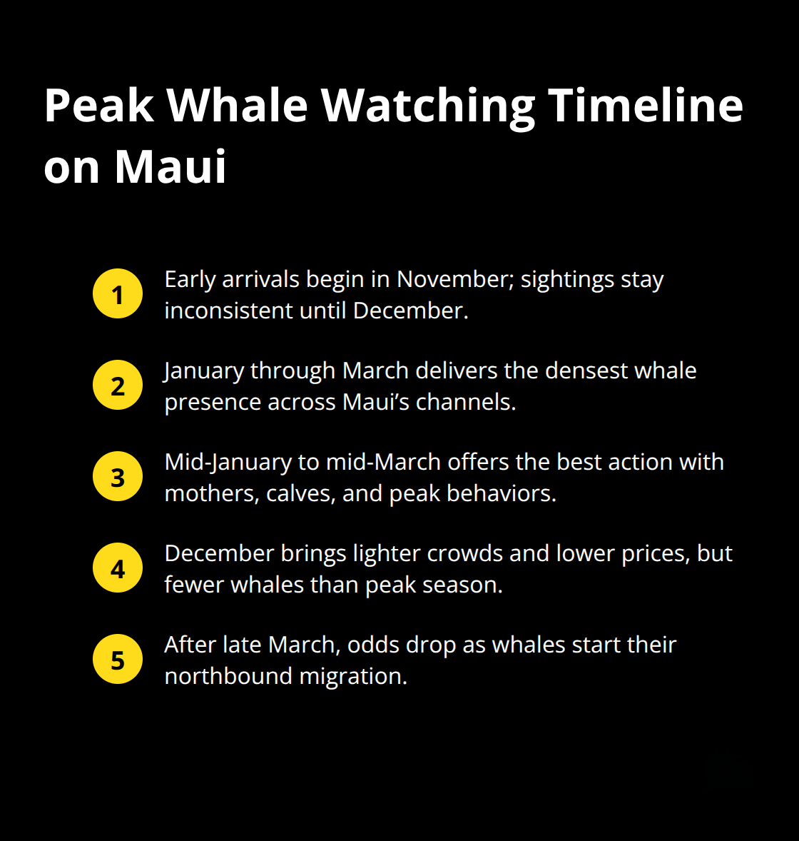 Maui Snorkel Charters | Whale Watching on Maui Key timing milestones for Maui humpback whale watching from November through late March. - whale watching on maui
