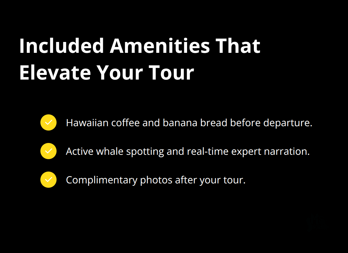 What you get before, during, and after your Maui whale watching tour.