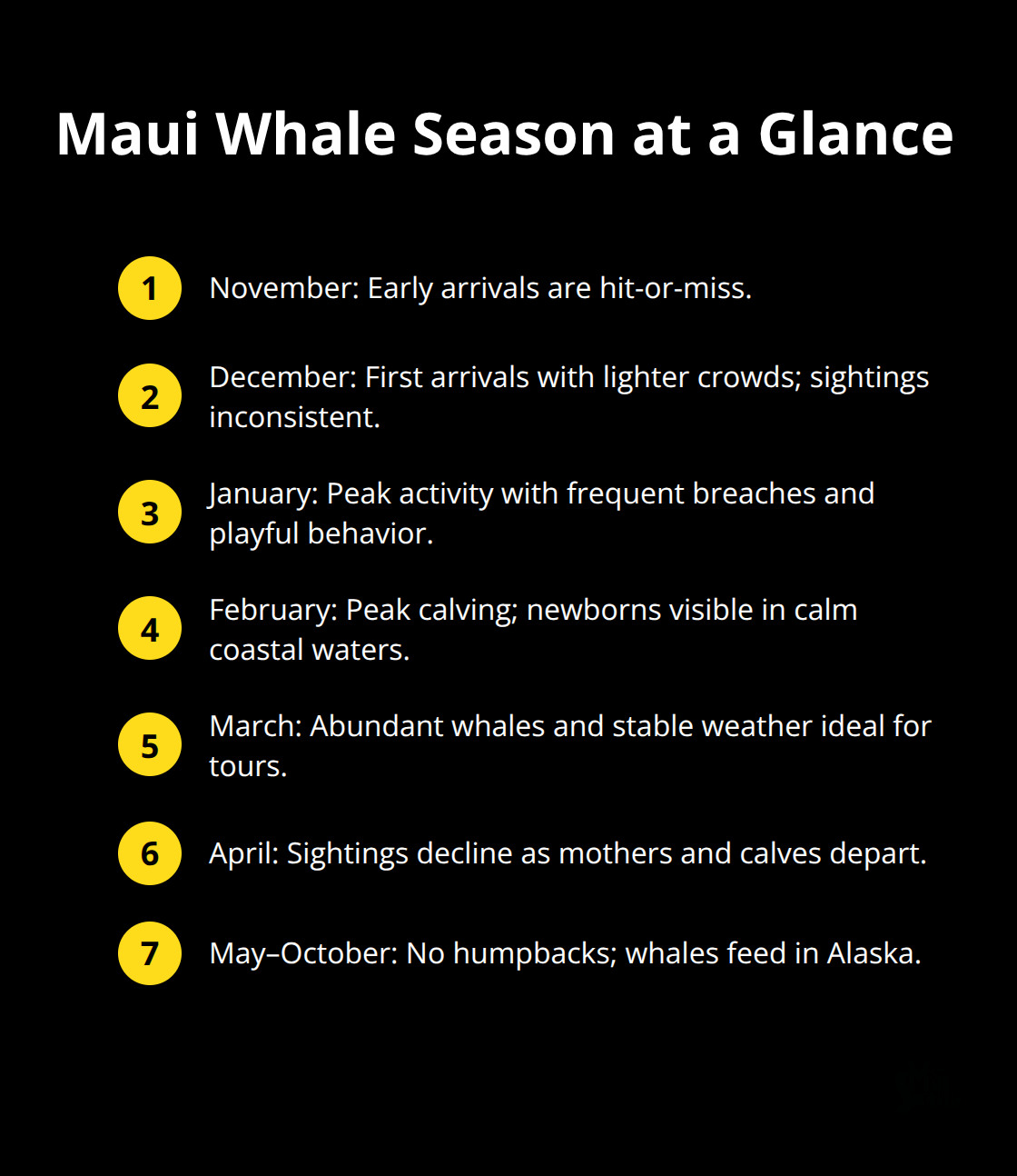 Maui Snorkel Charters | Whale Watching Tour Maui Timeline of Maui humpback whale activity by month, highlighting peak season and low-visibility periods.