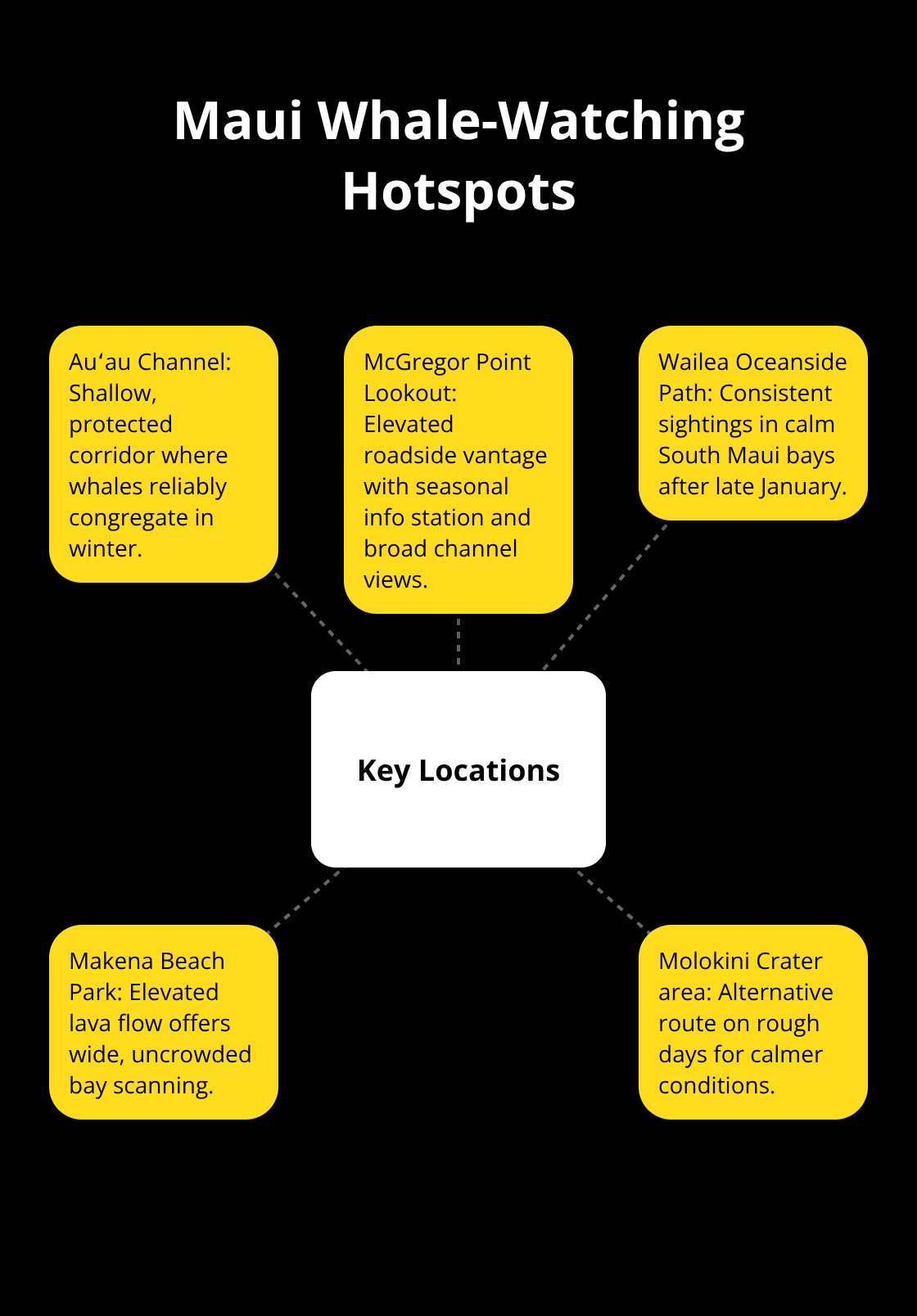 Maui Snorkel Charters | Whale Watching Tour Maui Hub-and-spoke diagram of Maui’s prime whale-watching locations and why they work. - whale watching tour maui