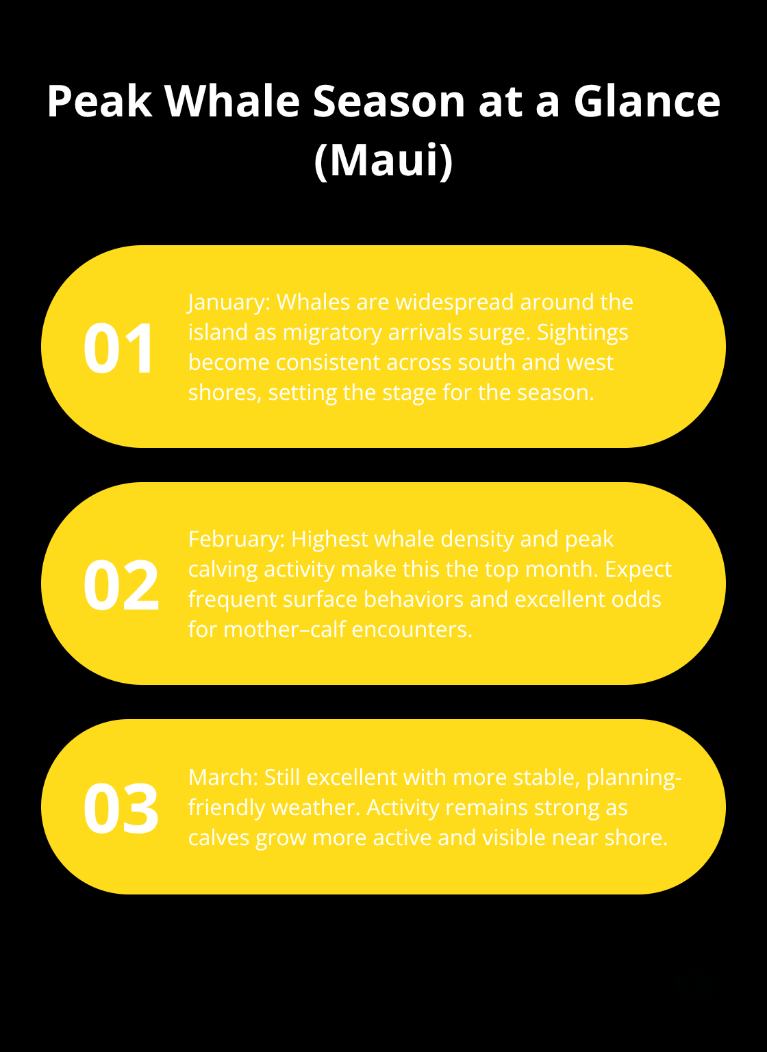 Maui Snorkel Charters | Whale Watching Maui Hawaii Key differences between January, February, and March whale watching in Maui - whale watching tour maui hawaii