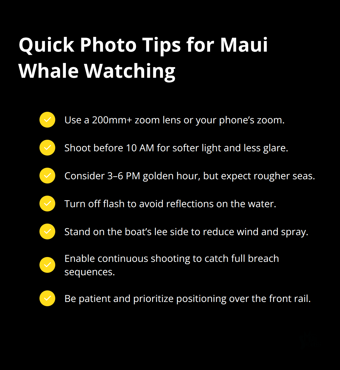 Maui Snorkel Charters | Whale Watching Tours in Maui Actionable checklist for capturing better whale photos on Maui tours - whale watching tours in maui