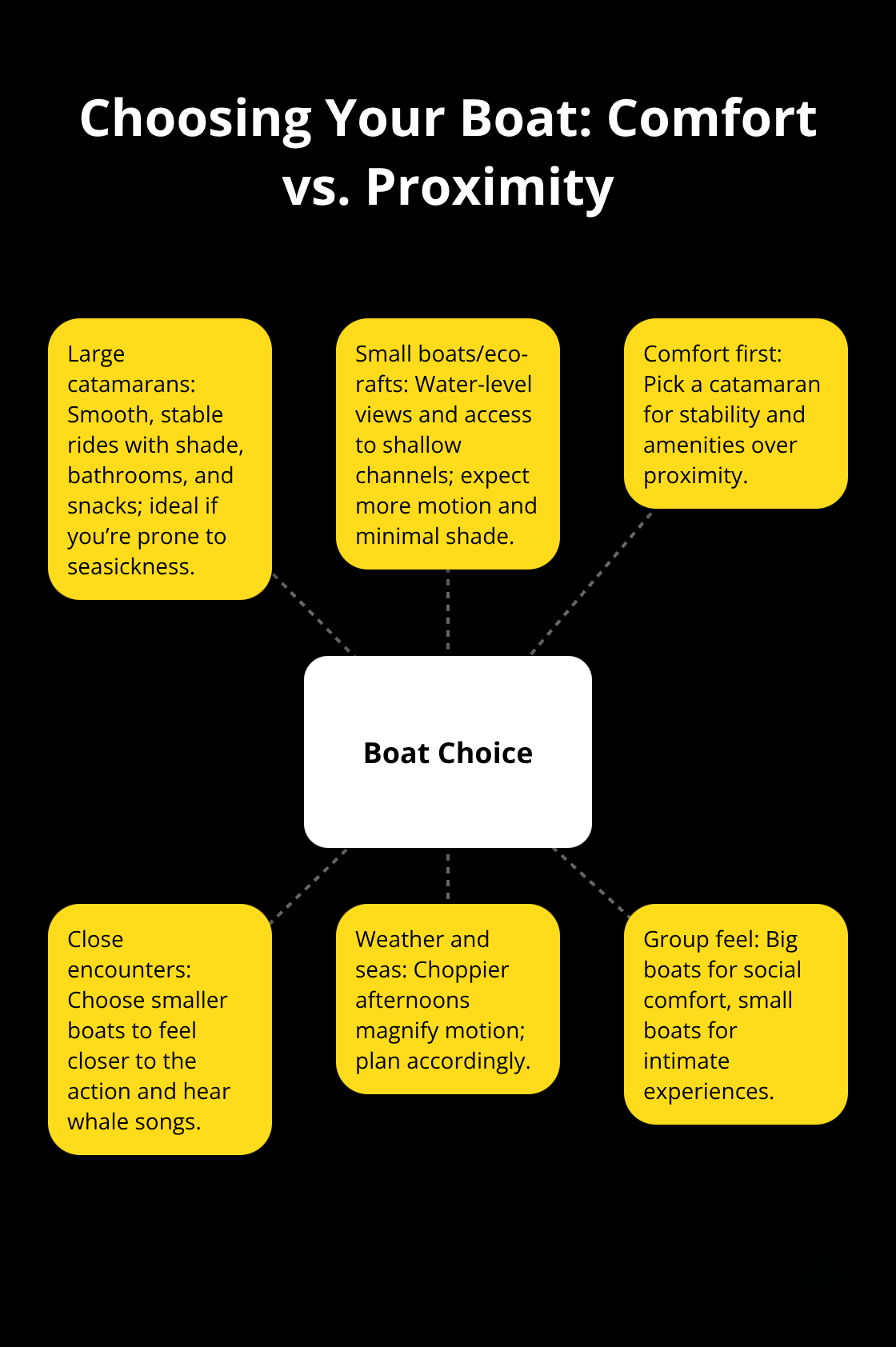 Maui Snorkel Charters | Whale Watching Tours in Maui Hub-and-spoke visual comparing large catamarans and small boats for Maui whale watching - whale watching tours in maui