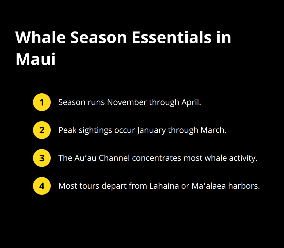 Key facts about Maui’s whale season, peak months, hotspots, and departure points. - whale watching tours maui