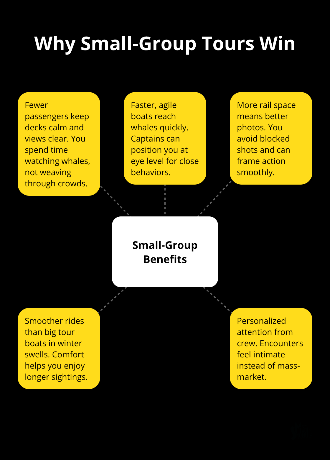 Visual overview of the benefits of small-group whale watching tours in Maui.