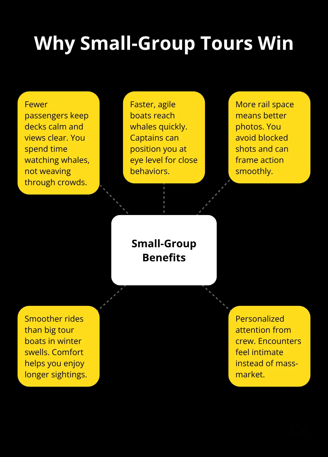 Maui Snorkel Charters | Whale Watching Tours Maui Visual overview of the benefits of small-group whale watching tours in Maui.