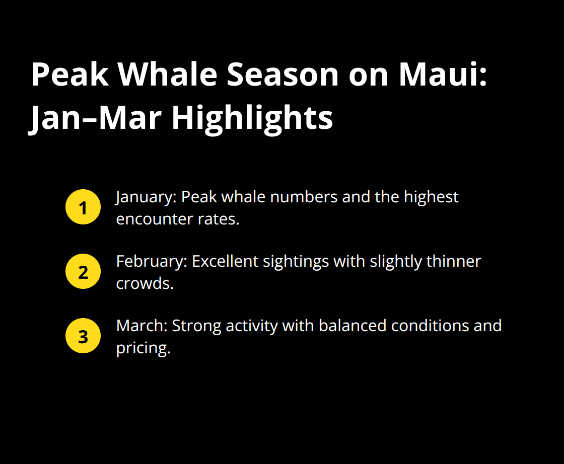 Maui Snorkel Charters | Whale Watching Tours on Maui Key timing tips for Maui whale watching season in the United States. - whale watching tours on maui