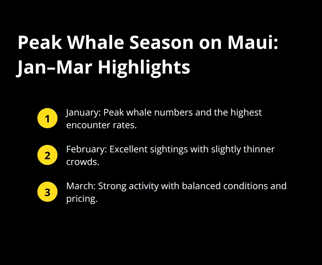 Maui Snorkel Charters | Whale Watching Tours on Maui Key timing tips for Maui whale watching season in the United States. - whale watching tours on maui