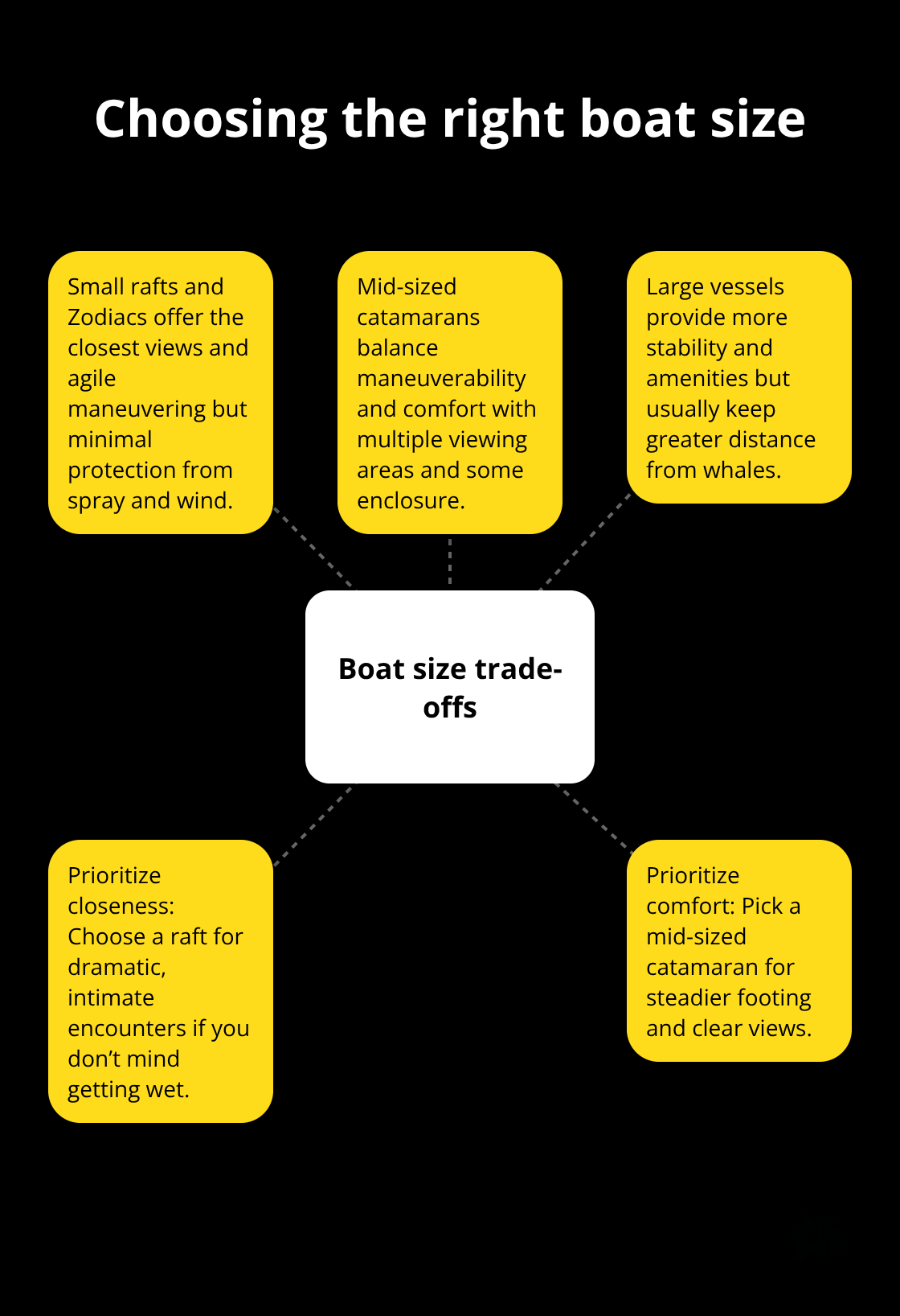How boat size affects comfort, maneuverability, and viewing distance on Maui whale-watching tours. - whale watching trip maui