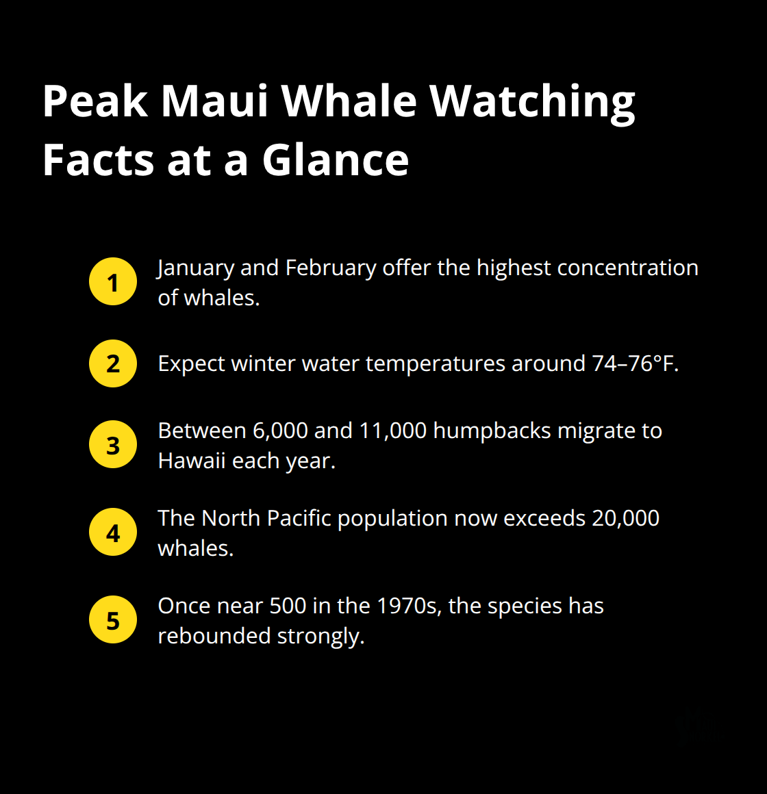 Quick facts on timing, water temperatures, migration numbers, and recovery for Maui's whale season - whale watching trips in maui