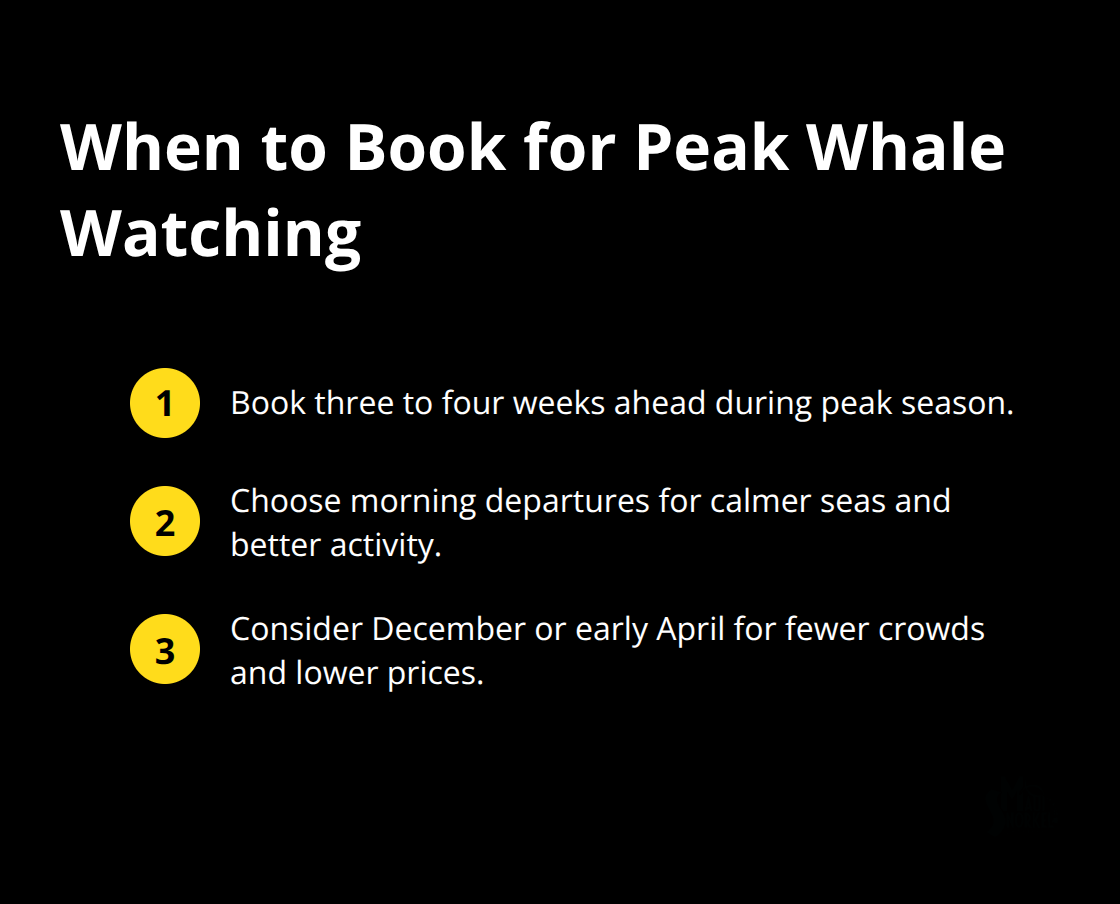 Booking timeline and timing tips for Maui whale watching