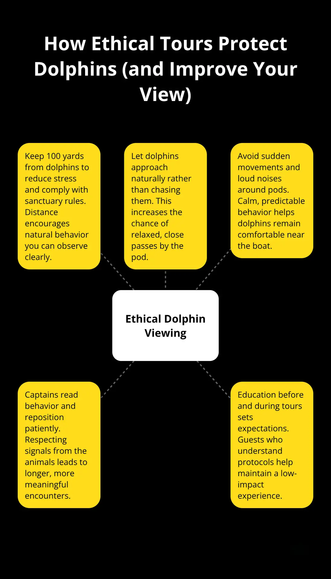 Hub-and-spoke diagram showing core principles of ethical dolphin viewing on Maui. - Maui dolphin encounters