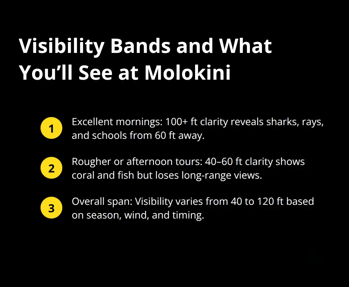Maui Snorkel Charters | Molokini Snorkeling Best Conditions: When Clear Waters Rule Concise guide to visibility ranges at Molokini and what marine life or views you can expect at each band.