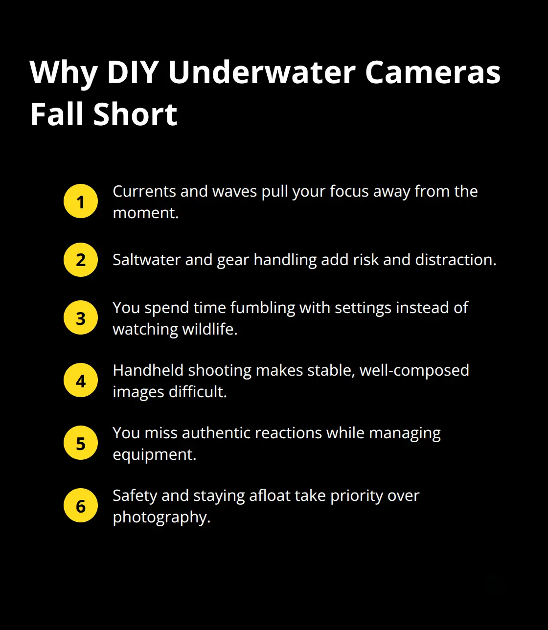 Key reasons personal cameras underperform during snorkel tours - Photos included Maui snorkeling