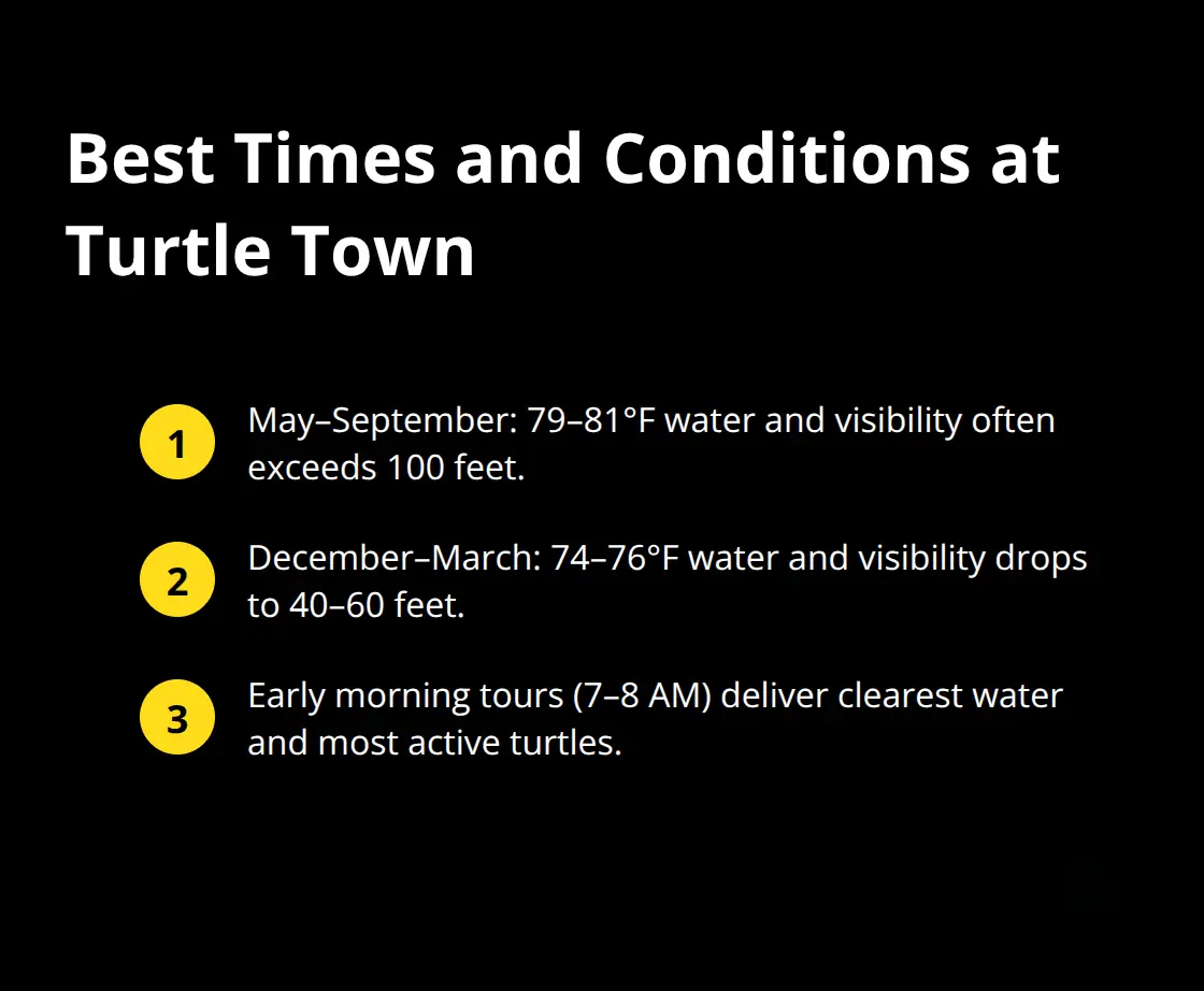 Quick guide to the best seasons and times for snorkeling Turtle Town with temps and visibility.