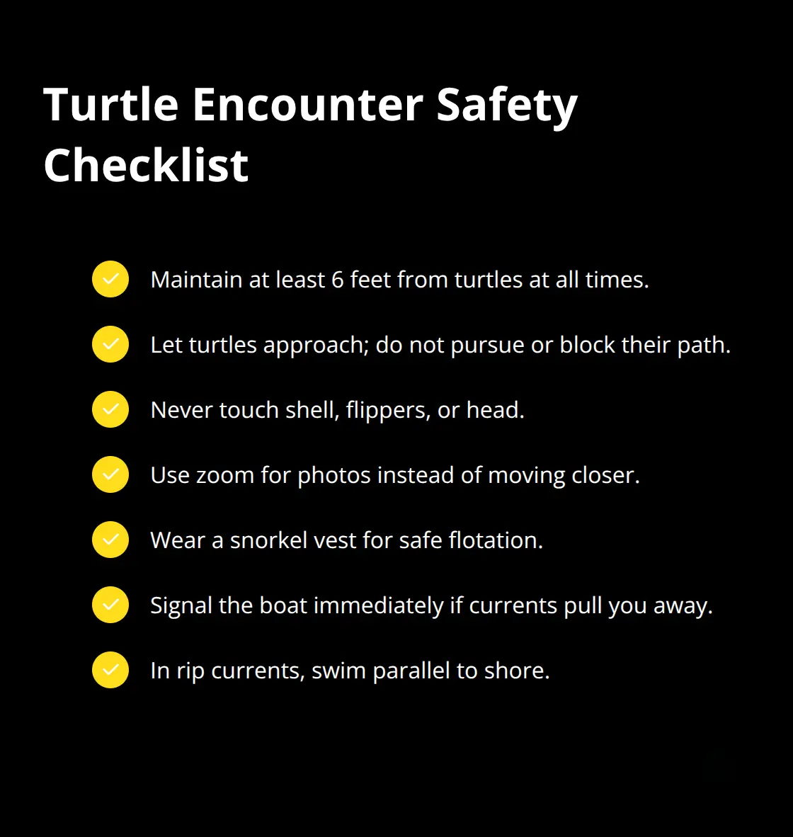 Checklist of essential safety rules for respectful turtle encounters in Maui. - Turtle Town encounter tips