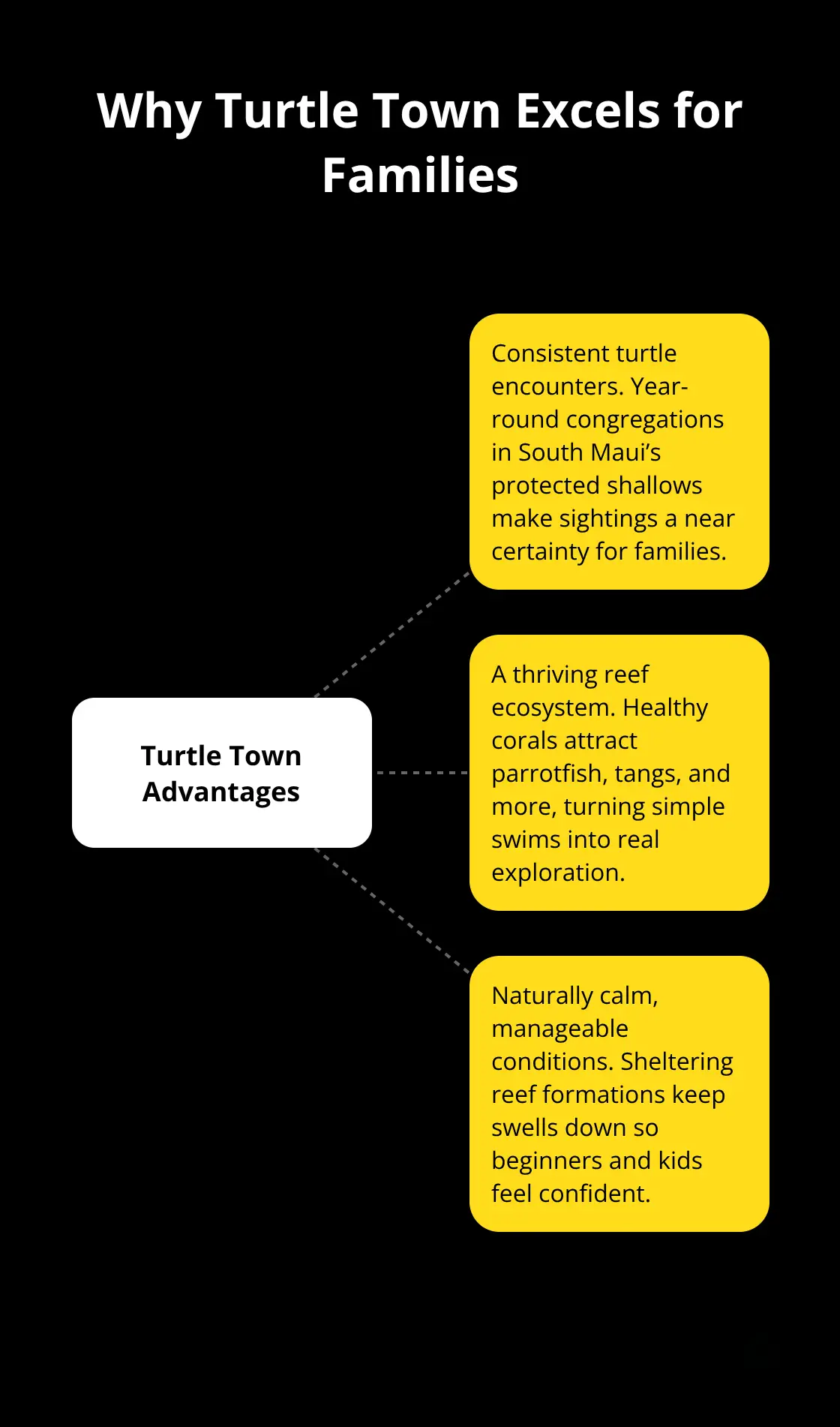 Three core reasons Turtle Town is ideal for family snorkeling - Turtle Town family tour