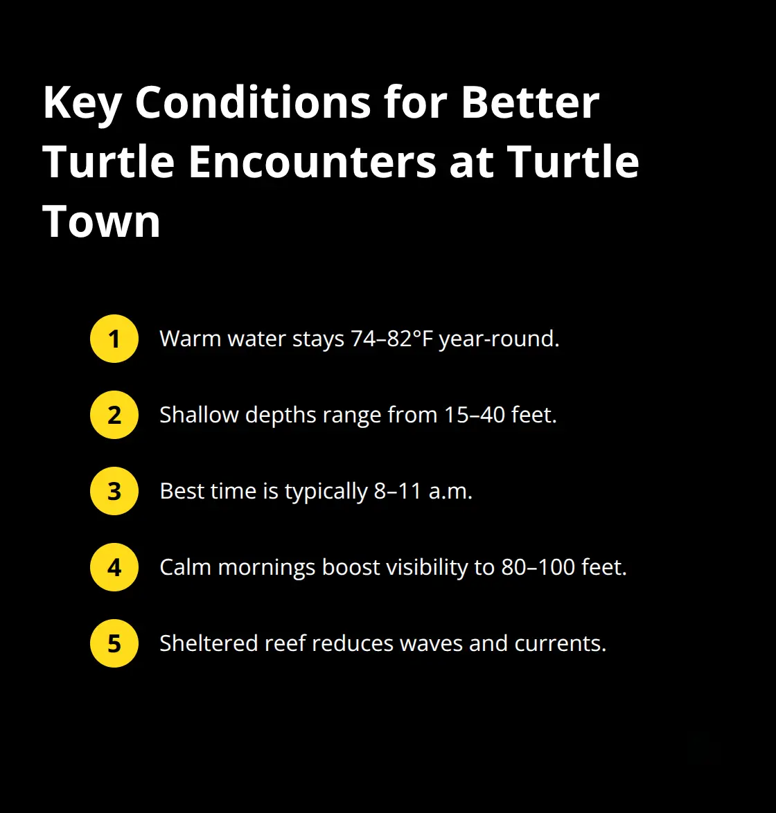Compact list of conditions that improve chances of green sea turtle encounters at Turtle Town in South Maui. - Turtle Town reef encounters