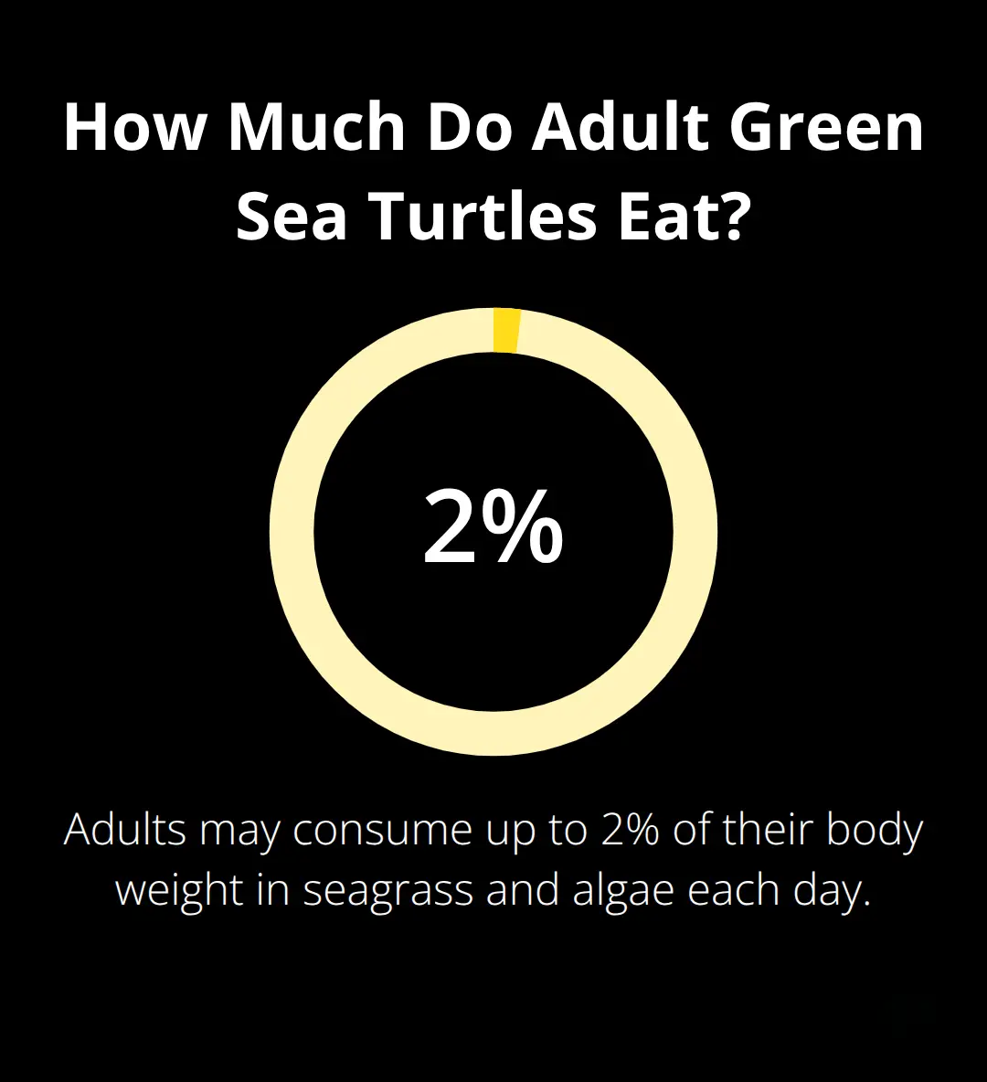 Percentage chart showing daily vegetation intake for adult green sea turtles by body weight. - Turtle Town reef encounters