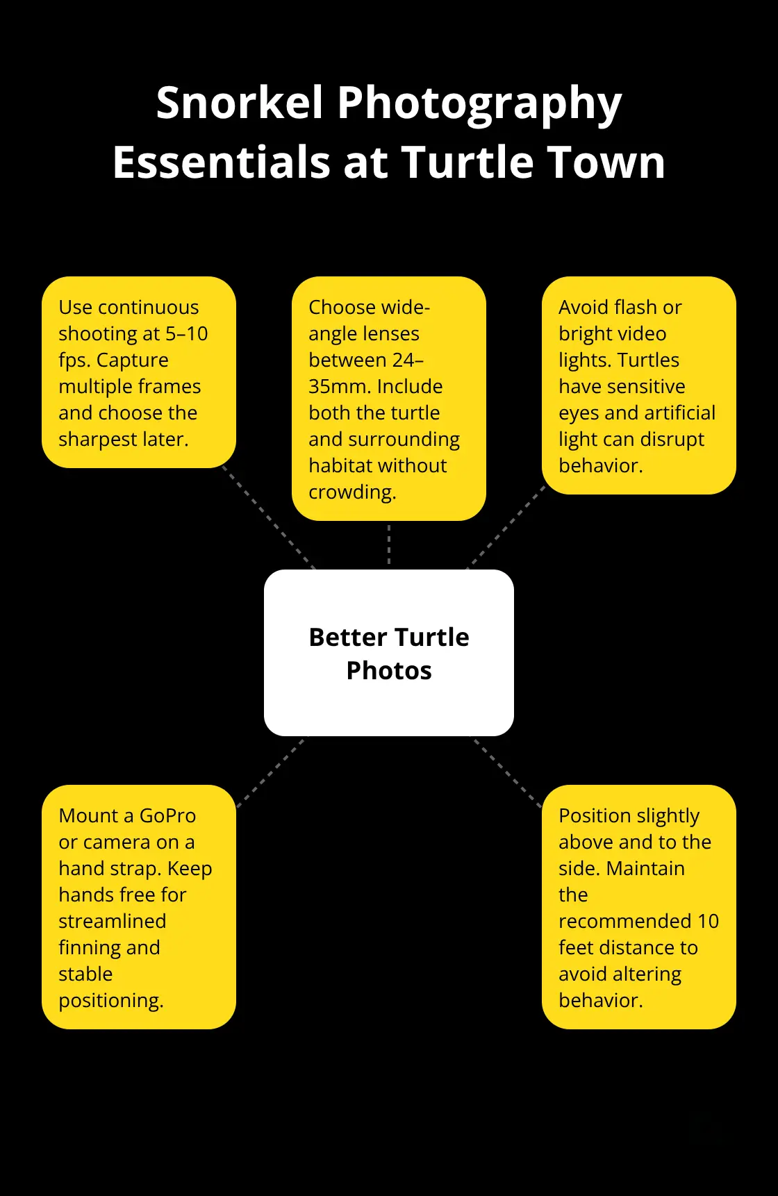 Hub-and-spoke diagram showing key tips for capturing better turtle photos while snorkeling.