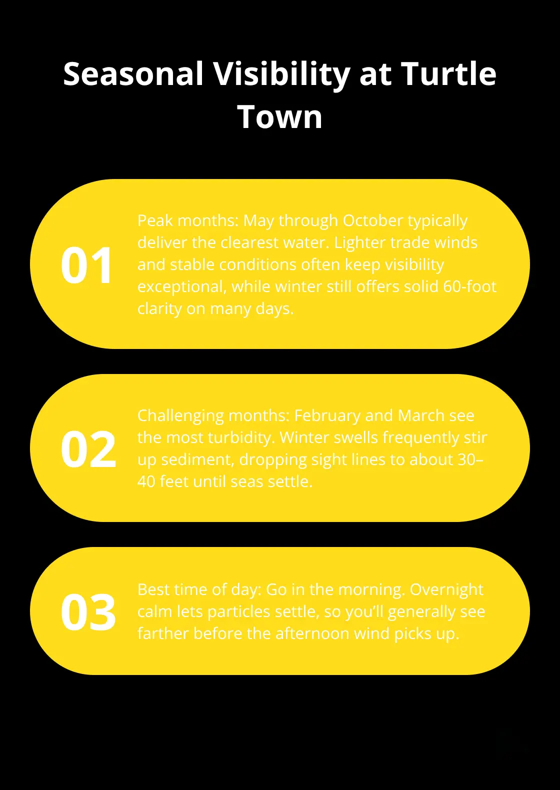 Summary of peak months, challenging months, and best time of day for visibility at Turtle Town in South Maui. - Turtle Town snorkeling trips