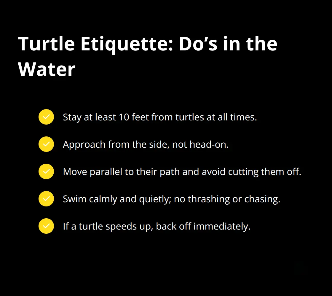 Checklist of low-stress turtle interaction tips for Turtle Town snorkelers. - Turtle Town snorkeling trips