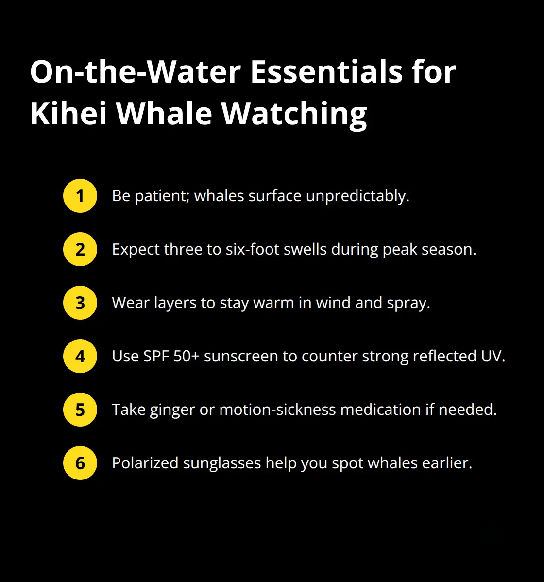 Maui Snorkel Charters | Whale Watching From Kihei: Calm Seas, Big Sights Compact checklist of what to expect and bring on Kihei whale watches