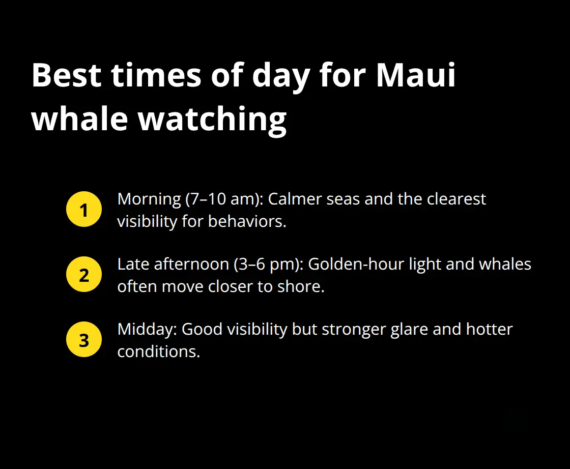 Maui Snorkel Charters | Hawaii Whale Watching Tours Maui Quick guide to morning, late afternoon, and midday whale watching conditions on Maui
